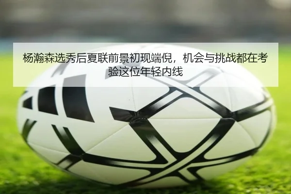 杨瀚森选秀后夏联前景初现端倪，机会与挑战都在考验这位年轻内线